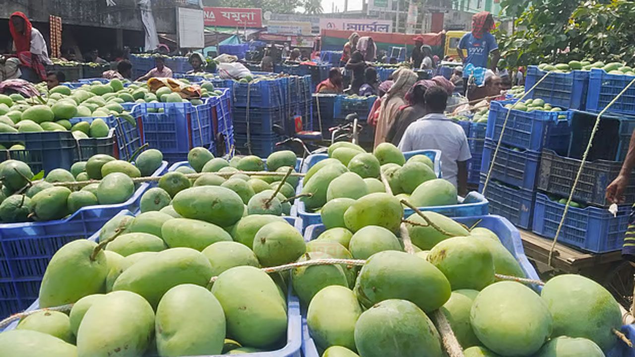 রাজশাহীর অর্থনীতি মূলত আমকেন্দ্রিক