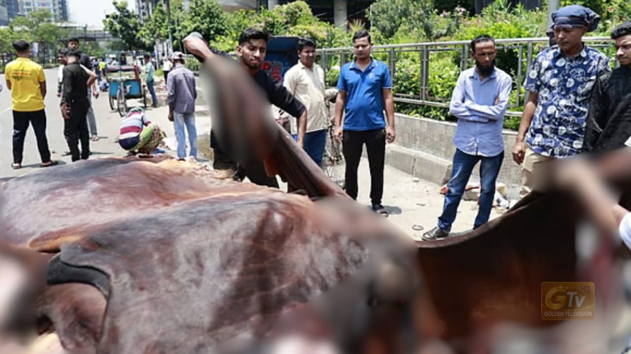 কোরবানির বর্জ্য ৮ ঘণ্টার মধ্যে সরাতে চায় ঢাকা দক্ষিণ, উত্তর ১২ ঘণ্টার আগেই