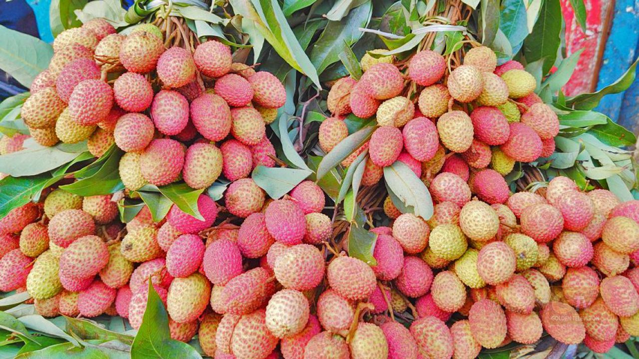 ভালো লিচু চিনবেন যেভাবে