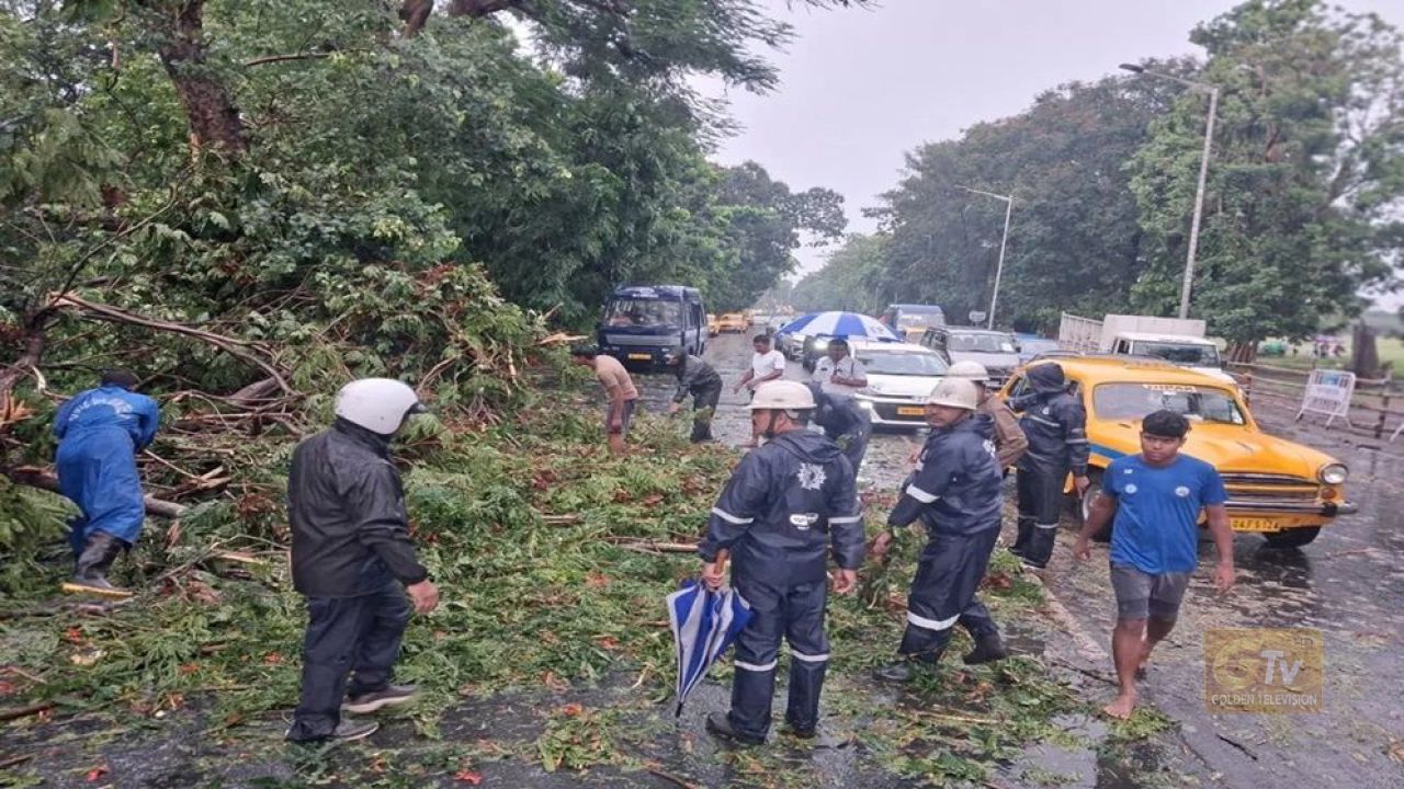 ঝড়ে লণ্ডভণ্ড পশ্চিমবঙ্গ, নিহত ৮