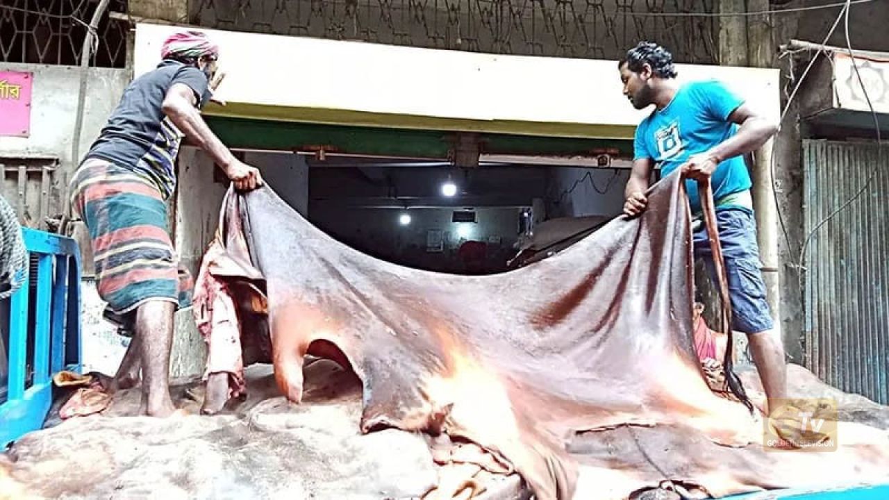 সাভারে ট্যানারিতে তিনদিনে সাড়ে ৫ লাখ চামড়া সংগ্রহ