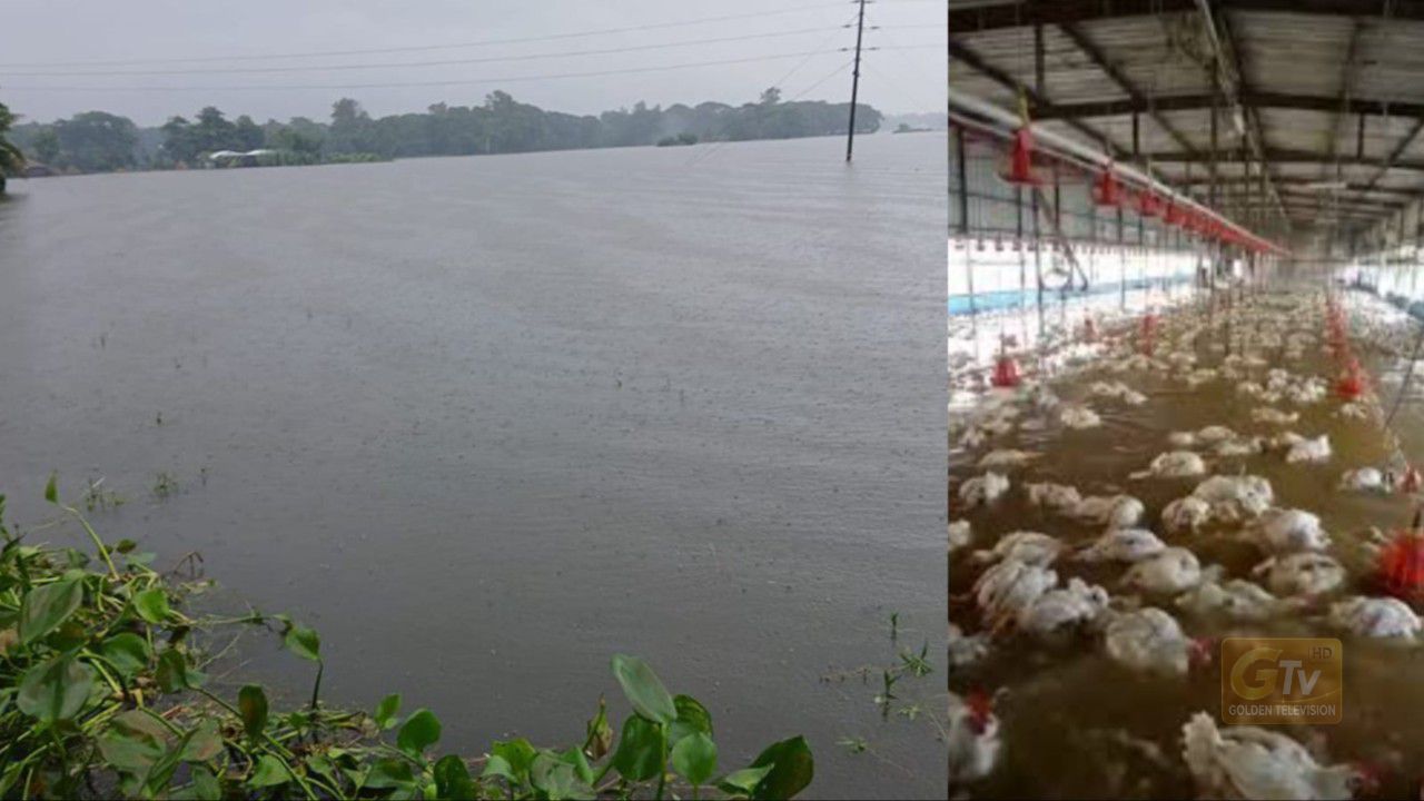বন্যায় চট্টগ্রামে সর্বস্ব হারানো কৃষক-খামারিরা পর্যাপ্ত প্রণোদনা না পাওয়ার অভিযোগ
