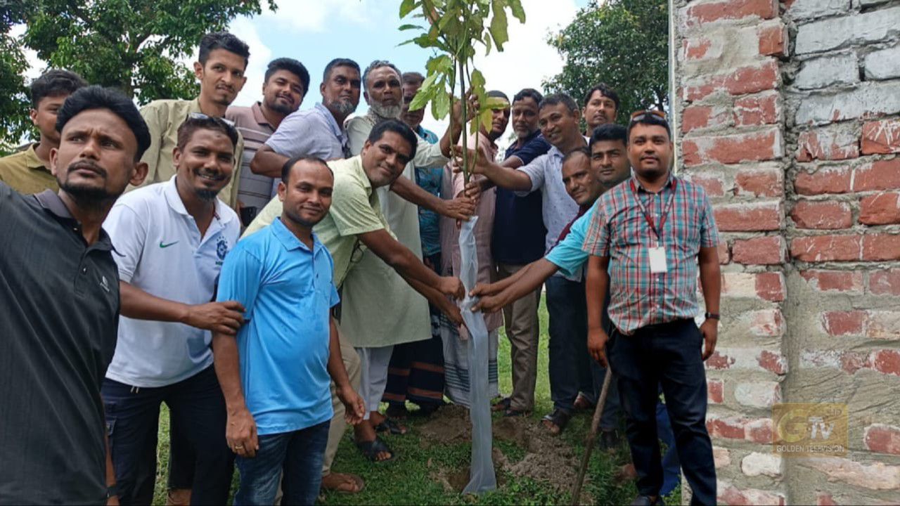 ঠাকুরগাঁও ভূল্লী উপজেলায়  তারুণ্যের শক্তি সেচ্ছাসেবী সংগঠনের বৃক্ষরোপণ কর্মসূচি পালিত।