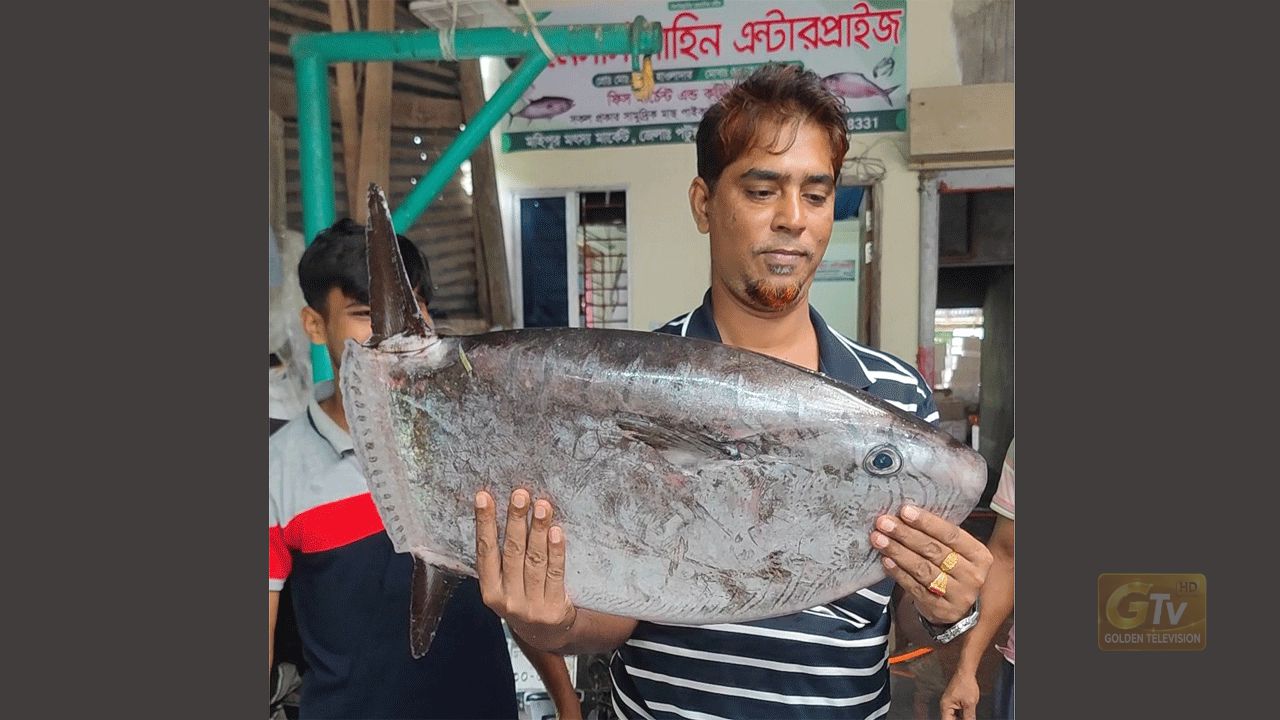 উড়োজাহাজ সদৃশ মাছ