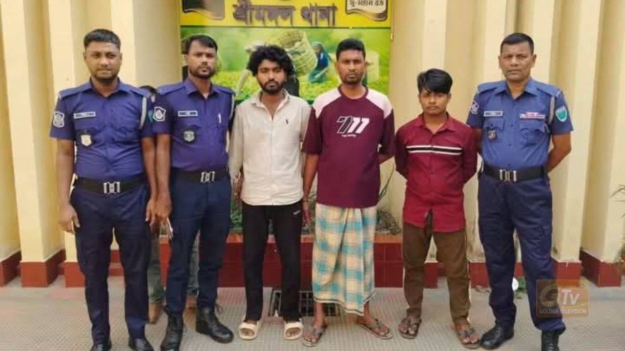 শ্রীমঙ্গলে কিশোরীকে রাতভর আটকে রেখে দলবদ্ধ ধর্ষণ, গ্রেপ্তার ৩ জন
