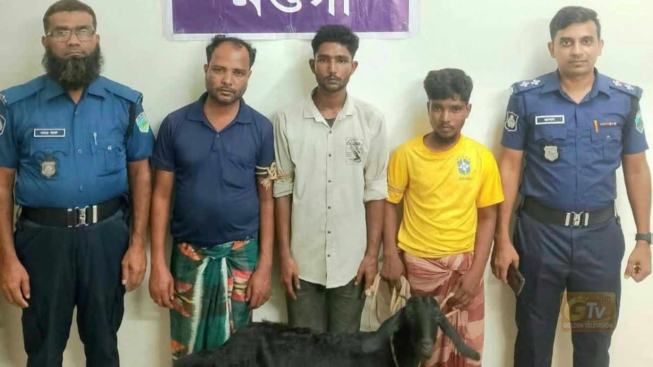 নওগাঁর পত্নীতলায় পুলিশের বিশেষ অভিযানে দরিদ্র পরিবারের চোরাই ছাগল উদ্ধারসহ ৩ জন গ্রেফতার 