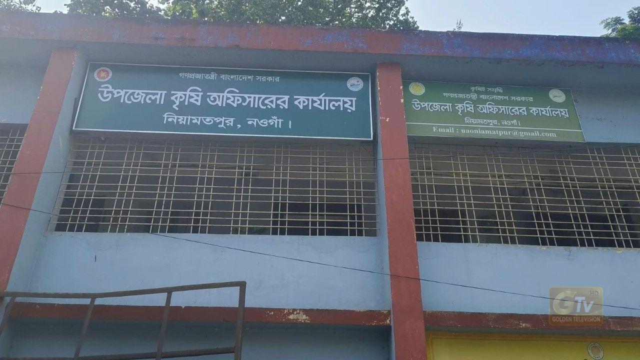 নিয়ামতপুরে সার ডিলার নিয়োগ নিয়ে প্রশ্ন, স্থানীয় নেতাকর্মী ও কৃষকদের ক্ষোভ