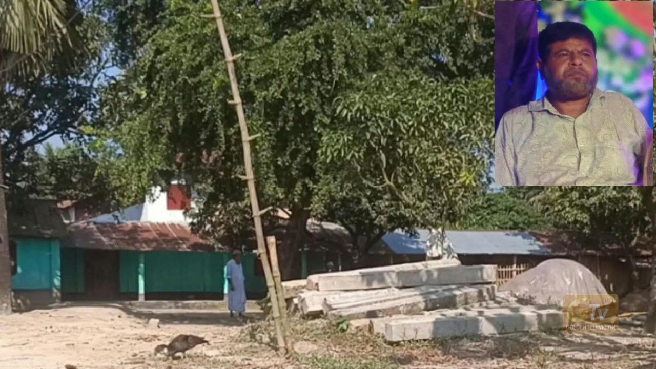 নিয়ামতপুরে জোরপূর্বক জমি দখলে নিতে গাছপালা উচ্ছেদের অভিযোগ