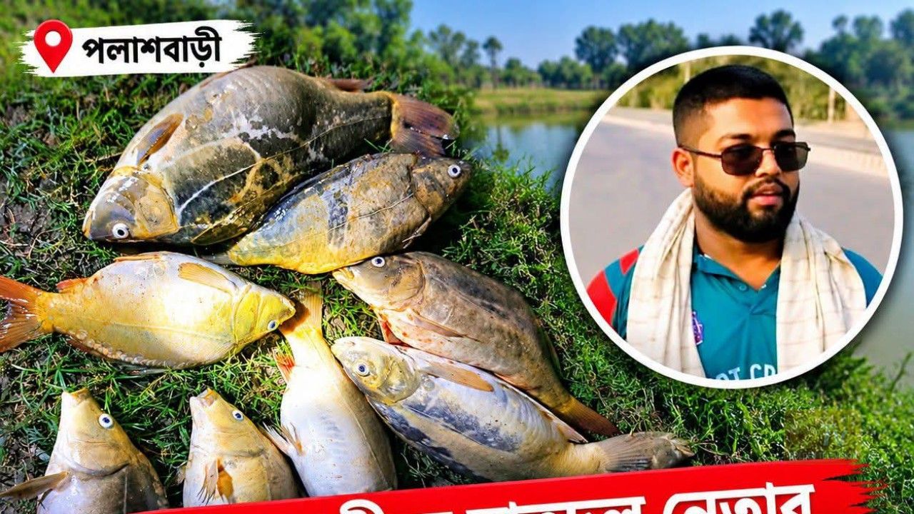 পলাশবাড়ীতে ছাত্রদল নেতা সোহেলের পুকুরে বিষ প্রয়োগে তিন লাখ টাকার মাছ নিধন